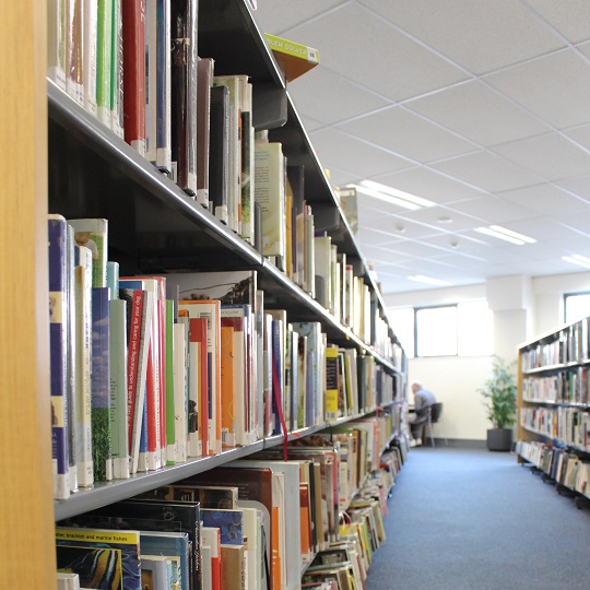 wide shot of top to floor library shelves with a man sitting in a chair near a plant at the end of the shelves